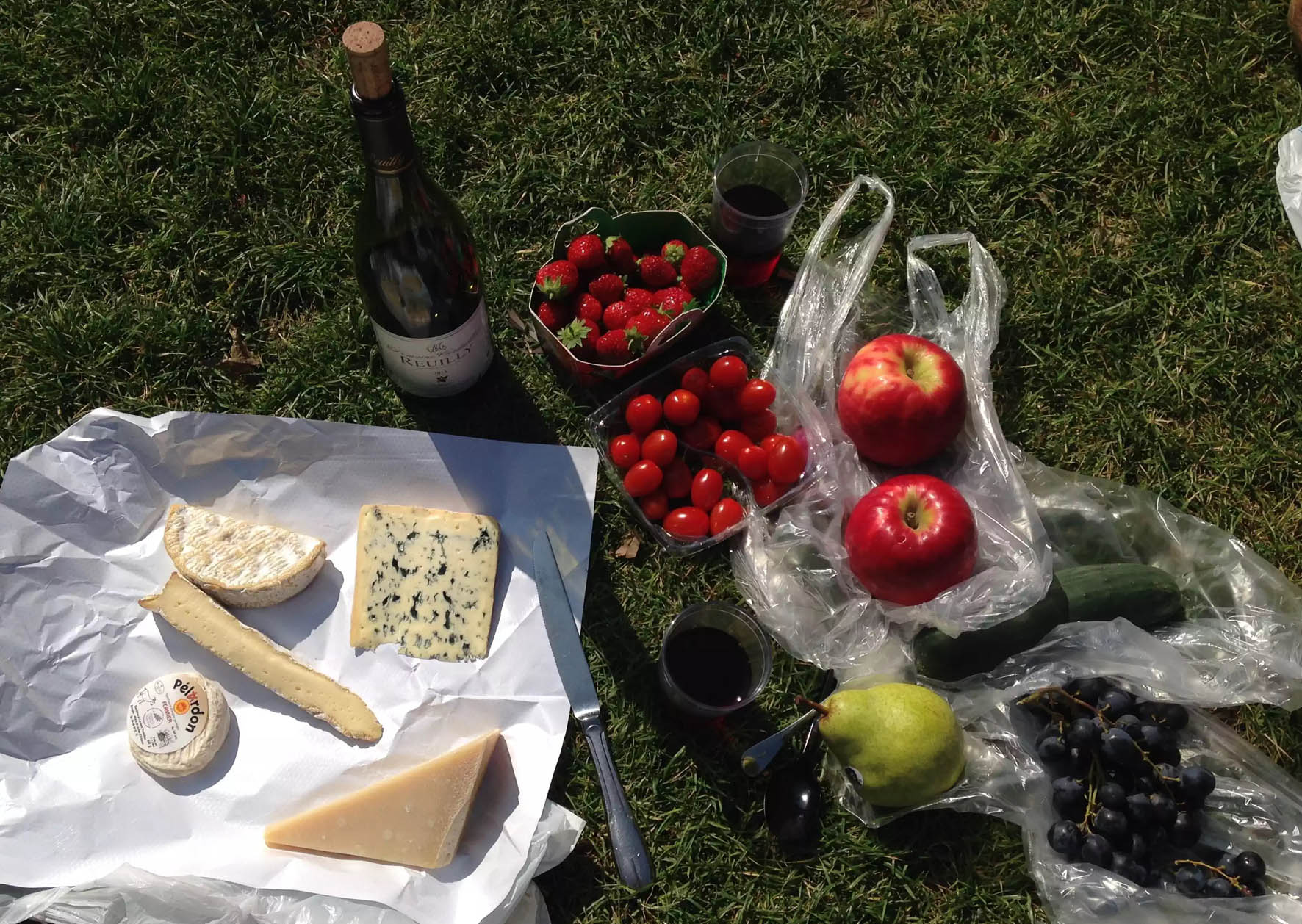 Picnic Park Paris Cheese Wine Fruit