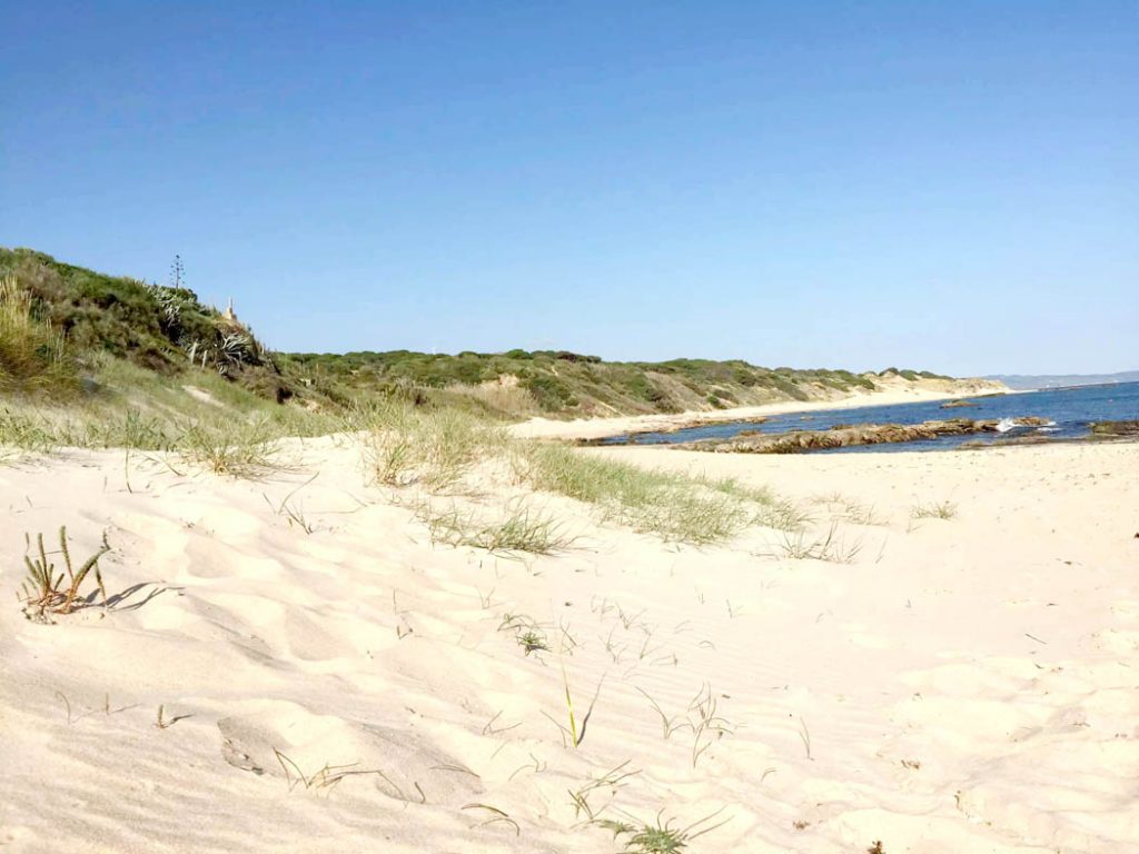 Kitesurfing in Tarifa, Spain by Emma Eats & Explores