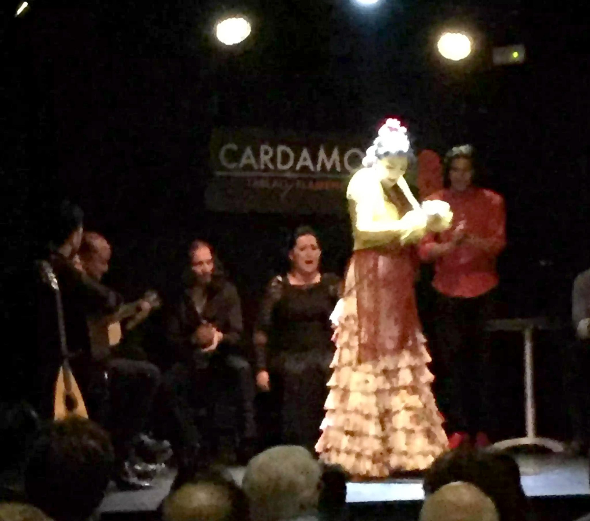 Cardamomo Flamenco Show Guitar Madrid Birthday