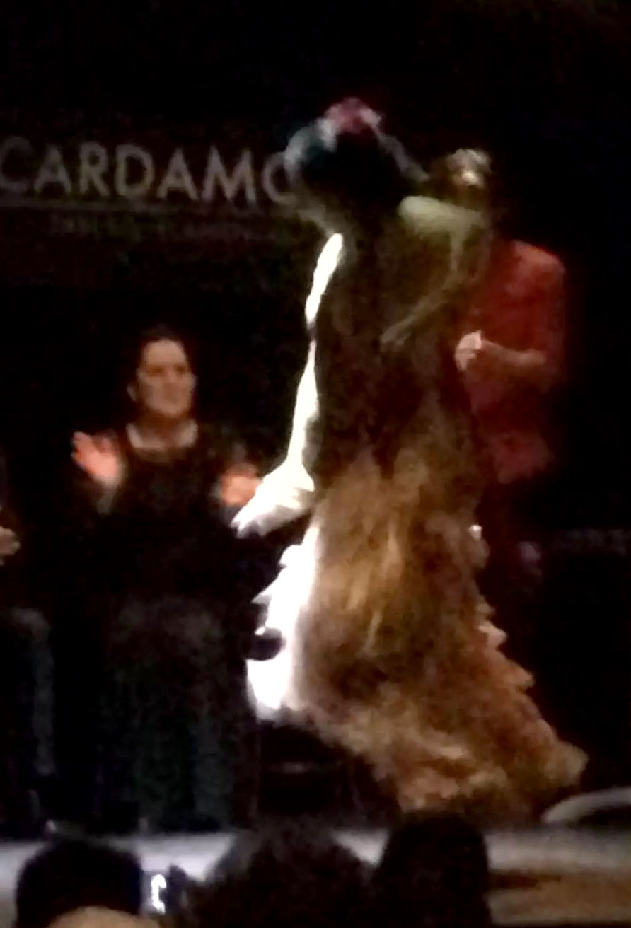 Cardamomo Flamenco Show Guitar Madrid Birthday