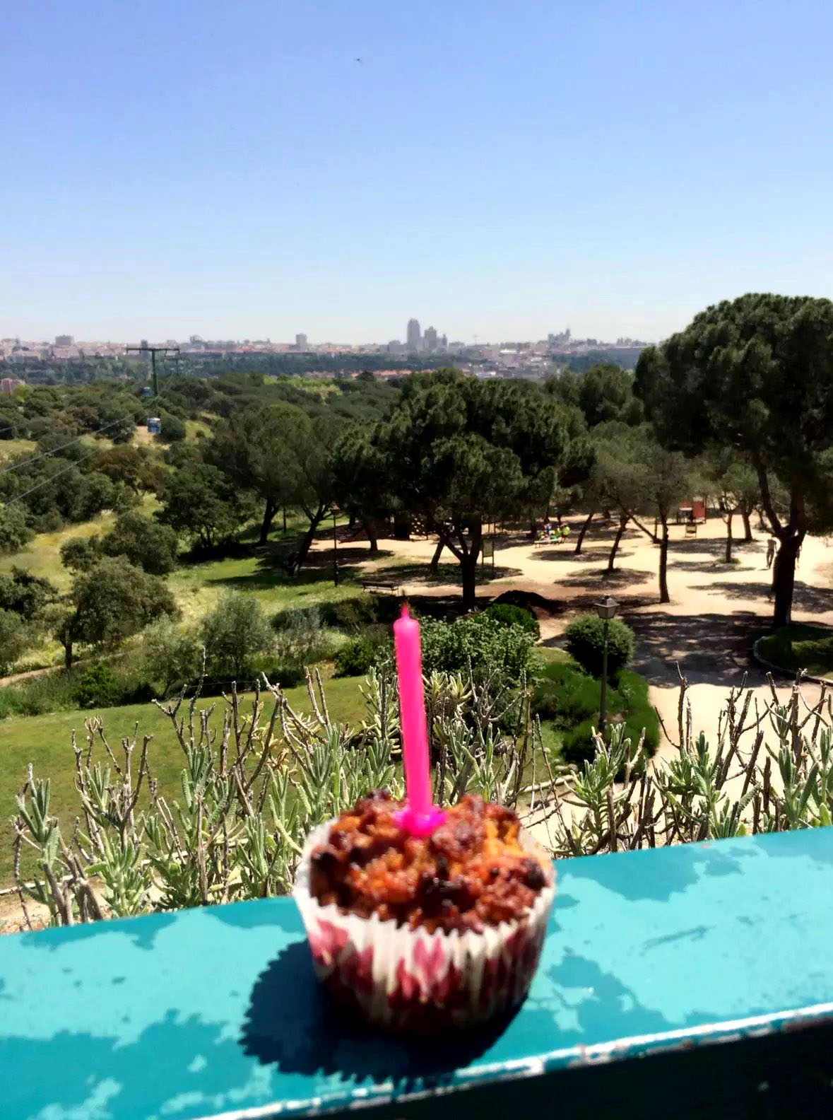 Madrid Sunshine Casa do Campo Walking Park Birthday SCD Carrot Cake Muffin
