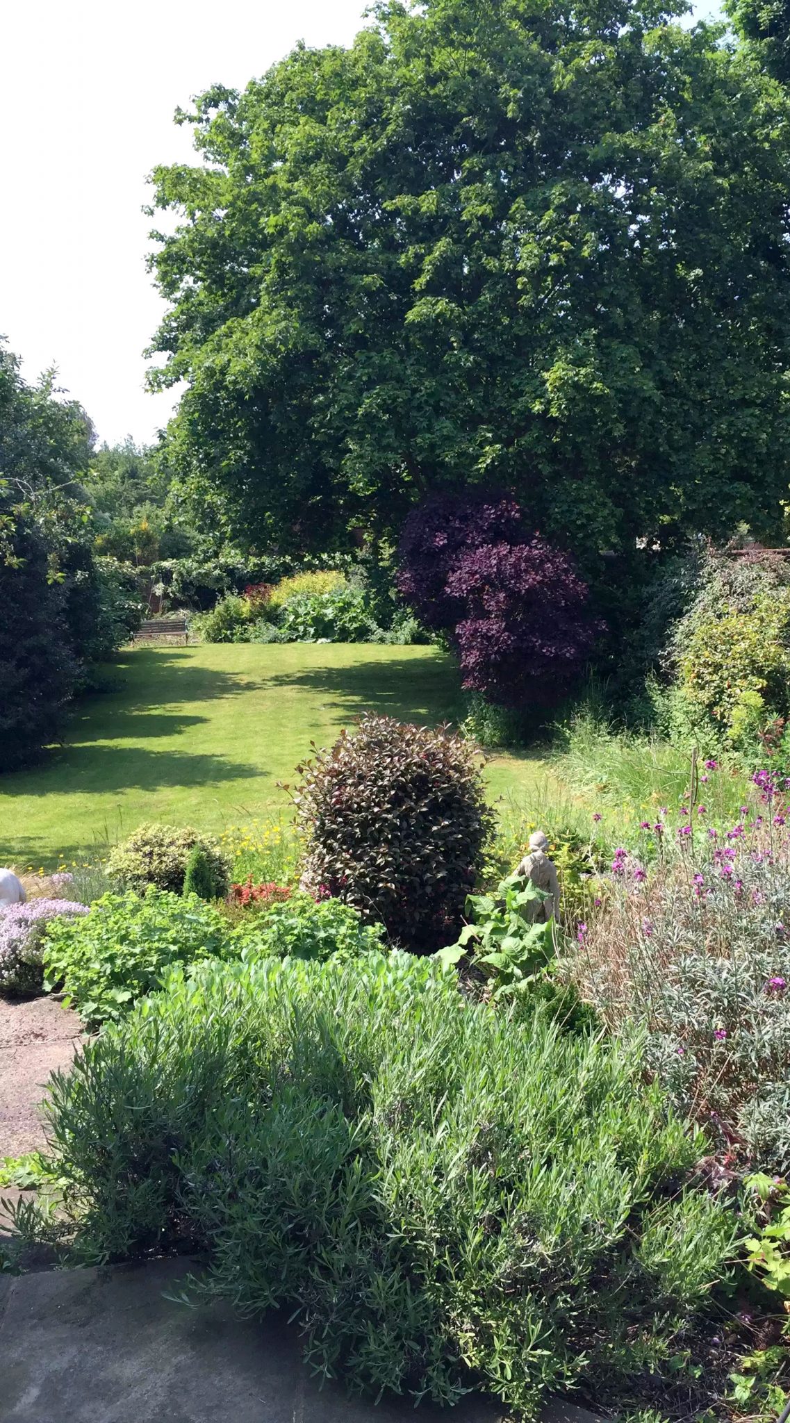 BBQ St Albans Sunshine Garden Outdoors Burgers Asparagus Peppers Lamb Sausages Salad Cheese Strawberries Mango Wine