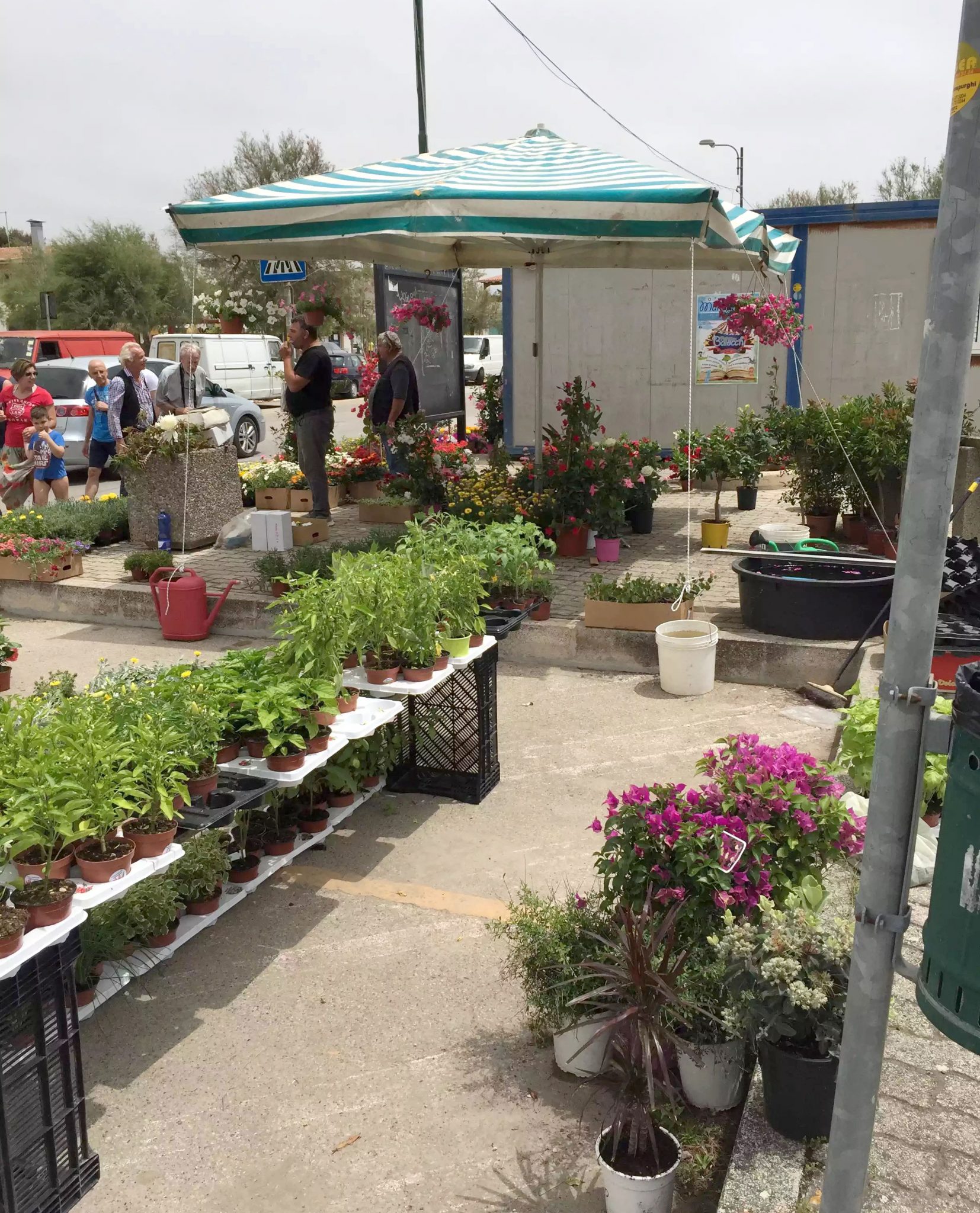 San Pietro in Bevagna Flower Market Puglia Italy