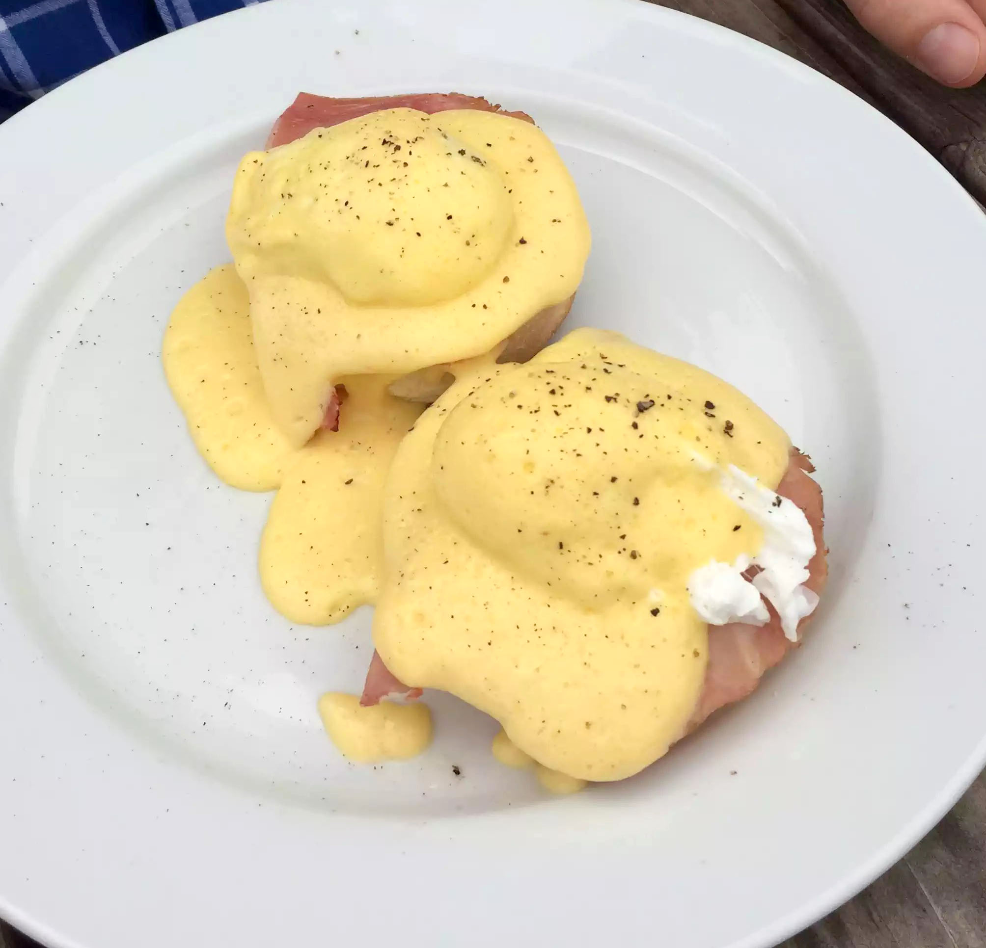 Skylark Cafe Restaurant Wandsworth Common Lunch Drinks Eggs Benedict Muffin Poached HOLLANDAISE