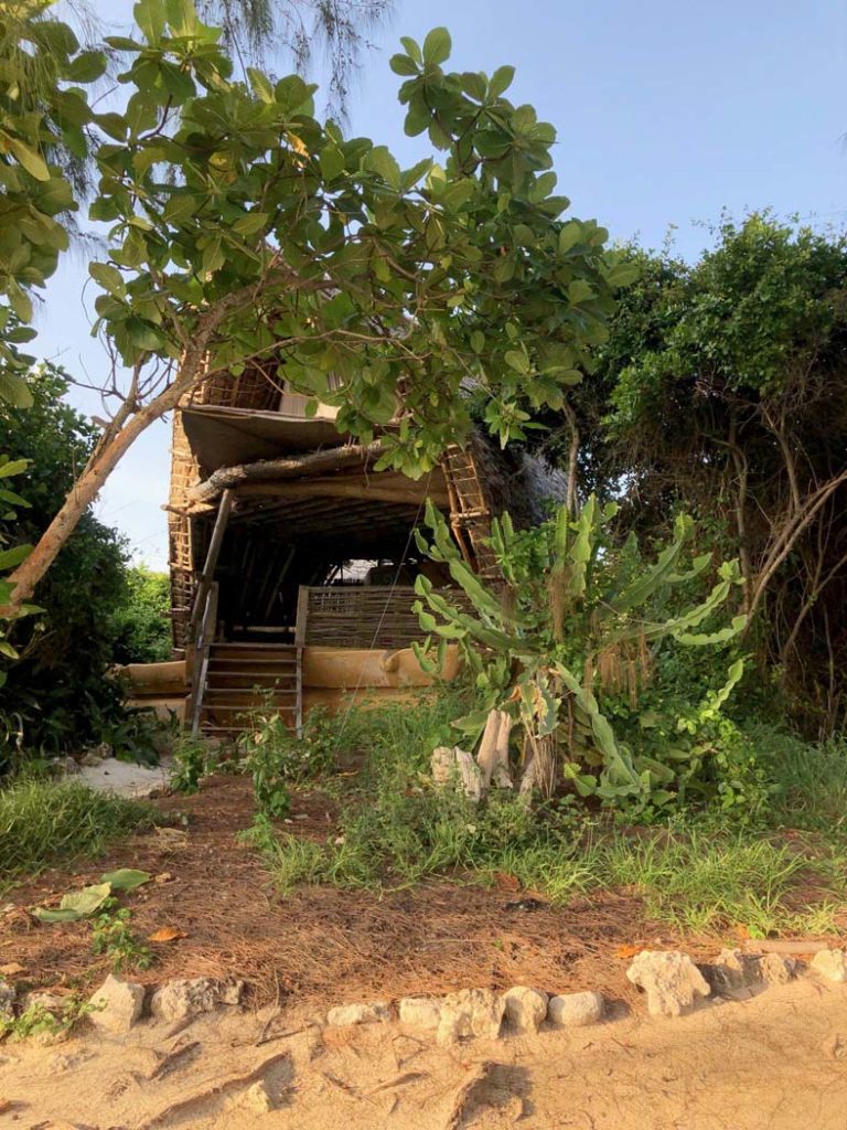 Our treehouse cabin on chumbe island, zanzibar