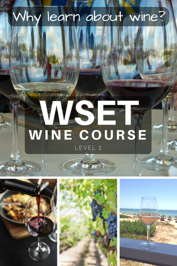 Why Wine? WSET Wine Course Level 2 by Emma Eats & Explores