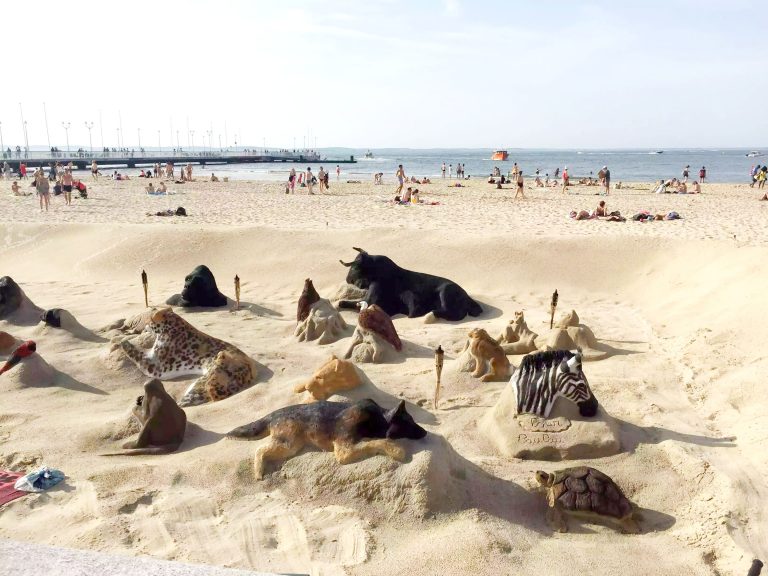 What to do in Arcachon, Aquitaine, France - Emma Eats & Explores