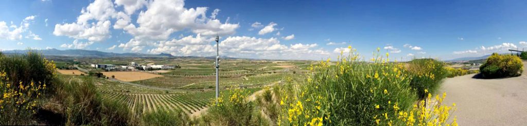 Wine Tasting in Rioja, Spain by Emma Eats & Explores