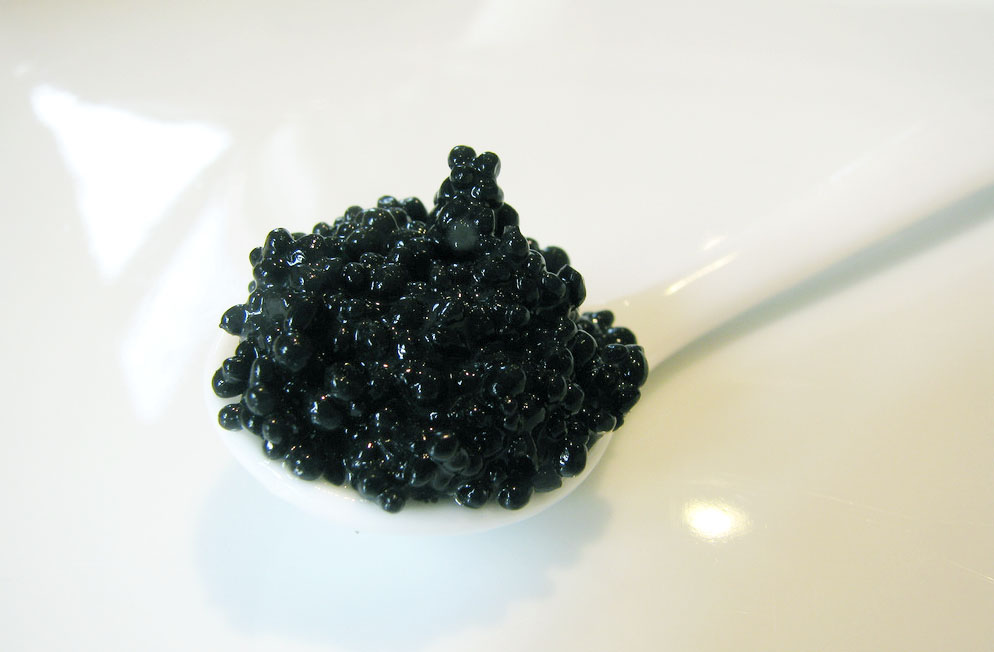 How to Taste Caviar with Attilus Caviar by Emma Eats & Explores