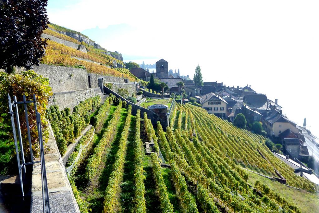 Les Caves Ouvertes de Vaud (The Open Cellars of Vaud) Wine Tasting in Lausanne Switzerland by Emma Eats & Explores