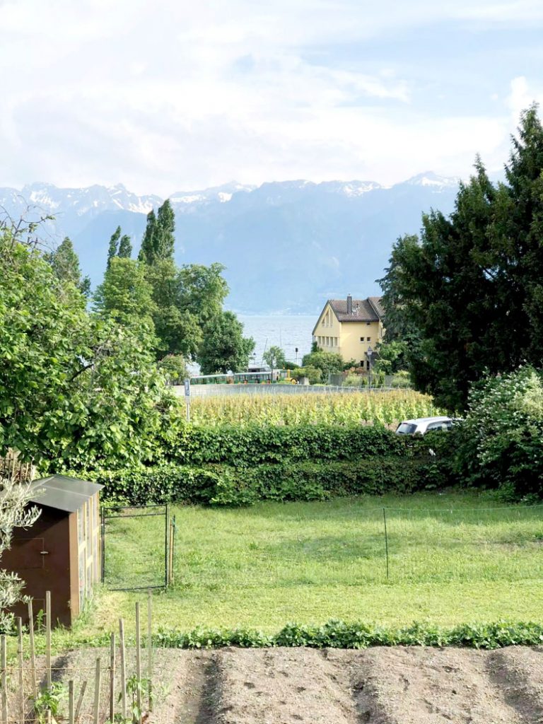 Les Caves Ouvertes de Vaud (The Open Cellars of Vaud) Wine Tasting in Lausanne Switzerland by Emma Eats & Explores