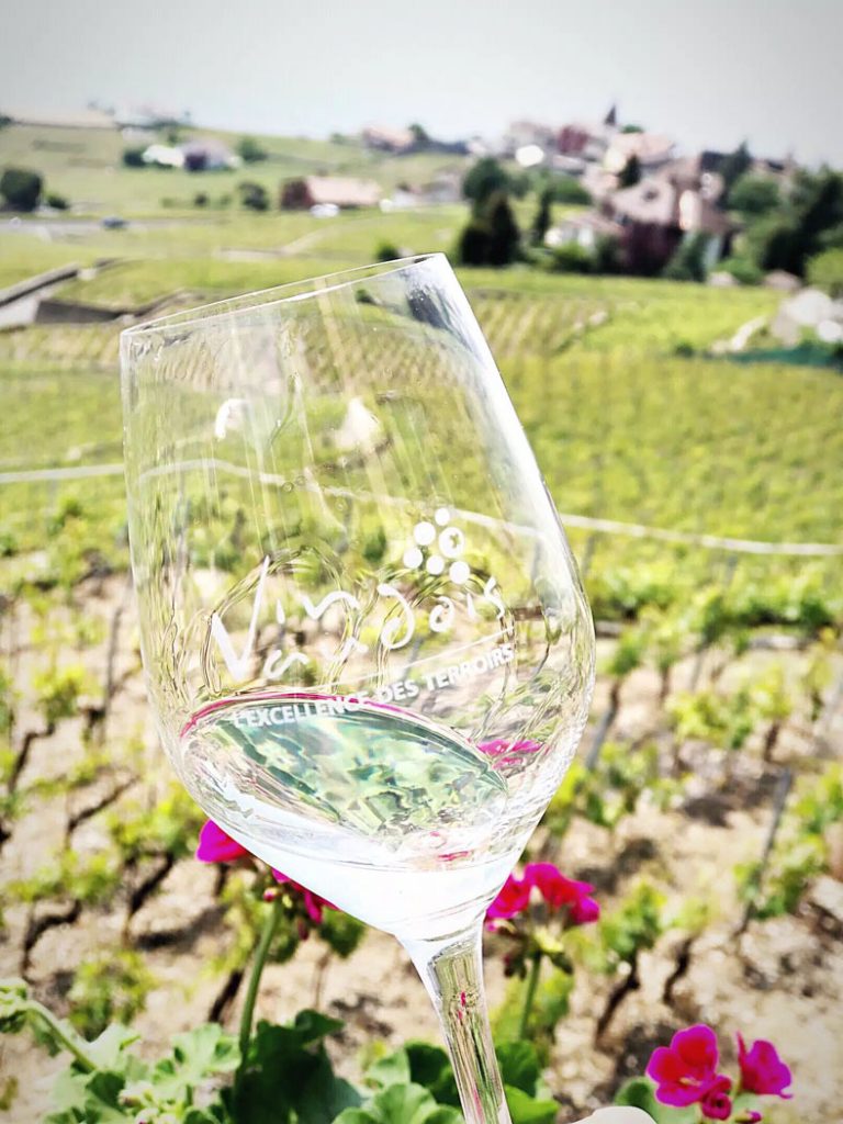 Les Caves Ouvertes de Vaud (The Open Cellars of Vaud) Wine Tasting in Lausanne Switzerland by Emma Eats & Explores