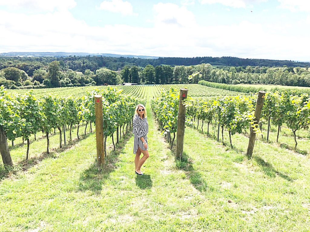 English Sparkling Wine Tasting at Albury Vineyard by Emma Eats & Explores