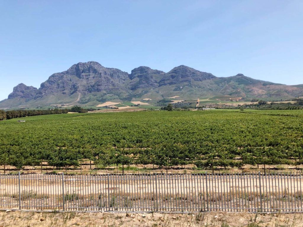 View from The Franschhoek Wine Tram by Emma Eats & Explores