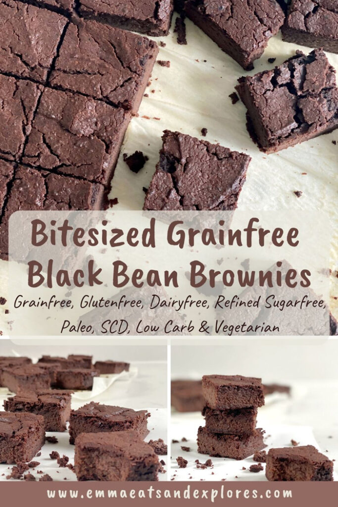 Bitesized Grainfree Black Bean Brownies