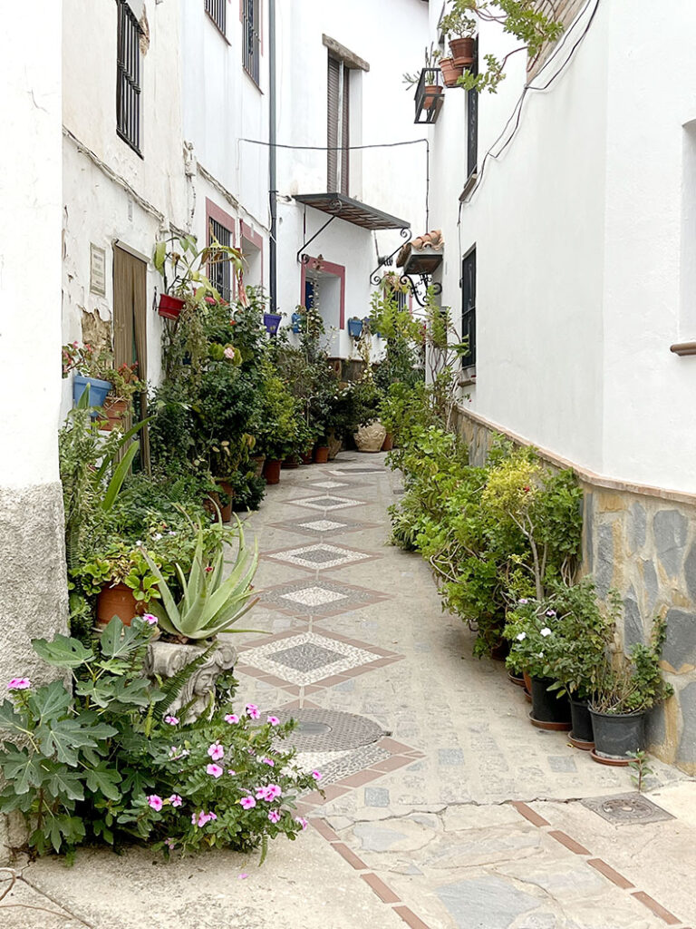 Street view of Benarrabá