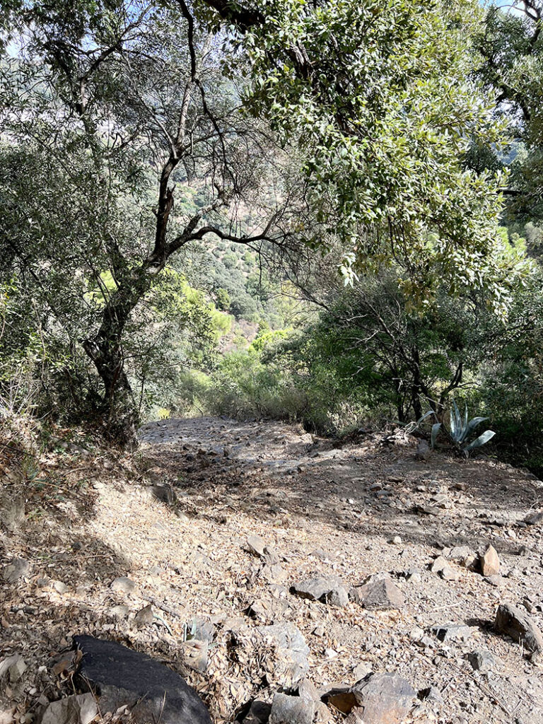 Rocky terrain underfoot