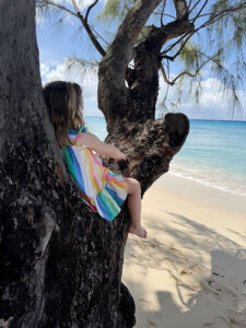 girl sitting on a tree staring at the sea in barbados