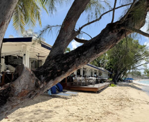 Lonestar Restaurant in Barbados