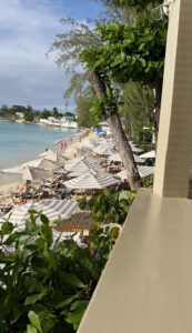 Sea Shed Restaurant Barbados