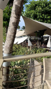 Sea Shed Restaurant Barbados