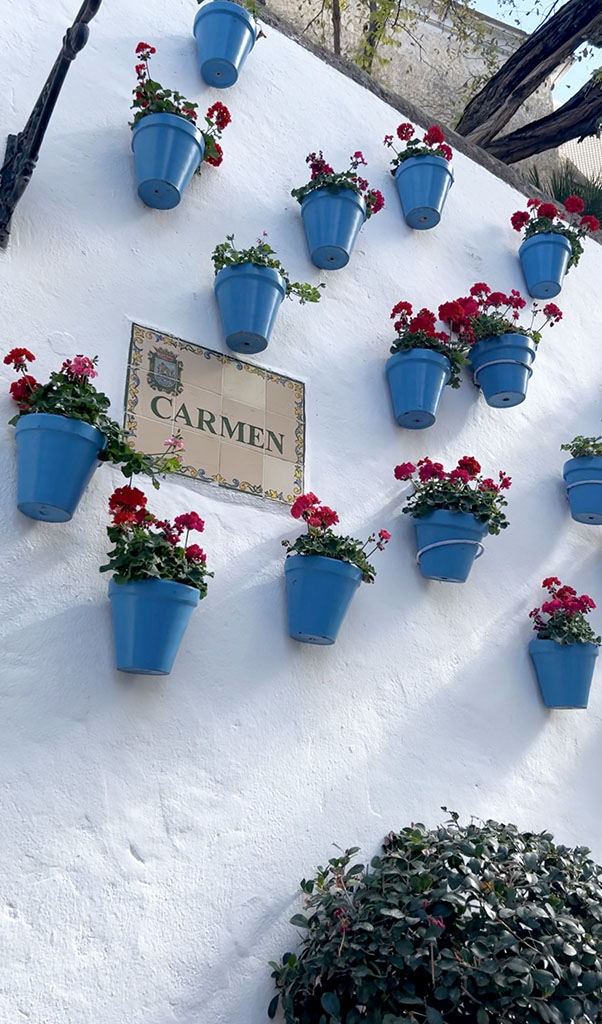 What to do in Marbella Old Town, Spain
