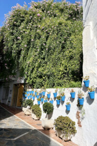 Calle Carmen - bluepots and carnations